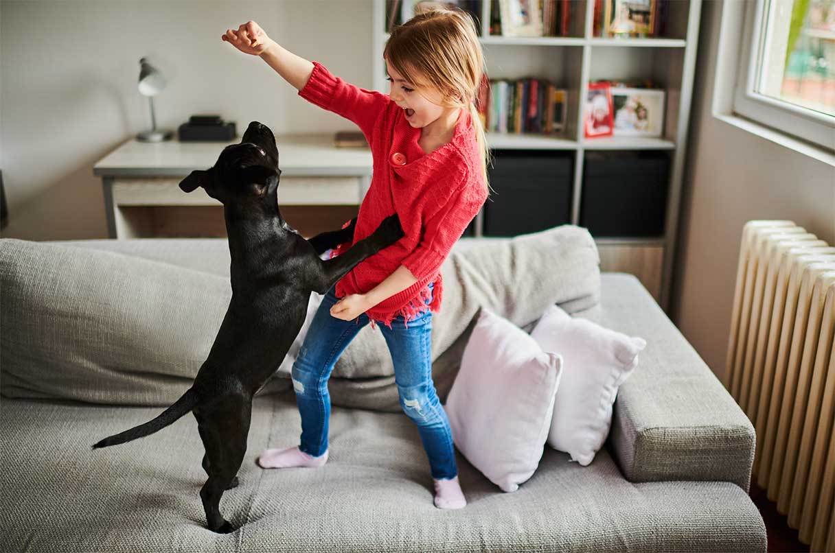 8 Great Ways to Exercise Your Dog Indoors This Winter