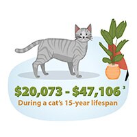 Lifetime Costs of Owning a Cat