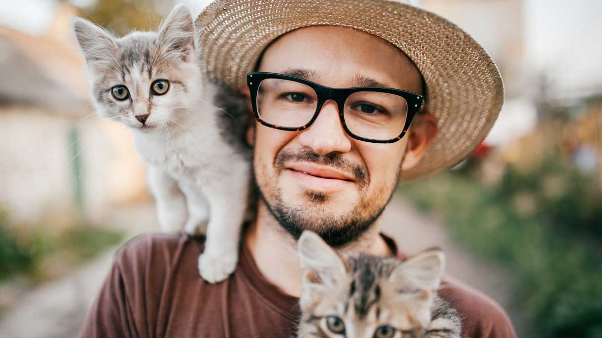 Cat Spay and Neuter Cost and Procedure Guide