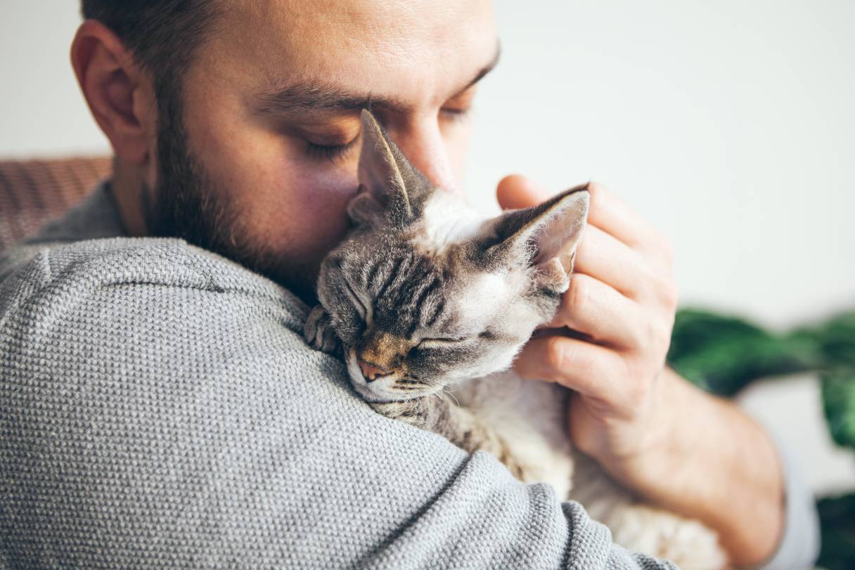Cat Euthanasia: Understanding Your Options and Costs