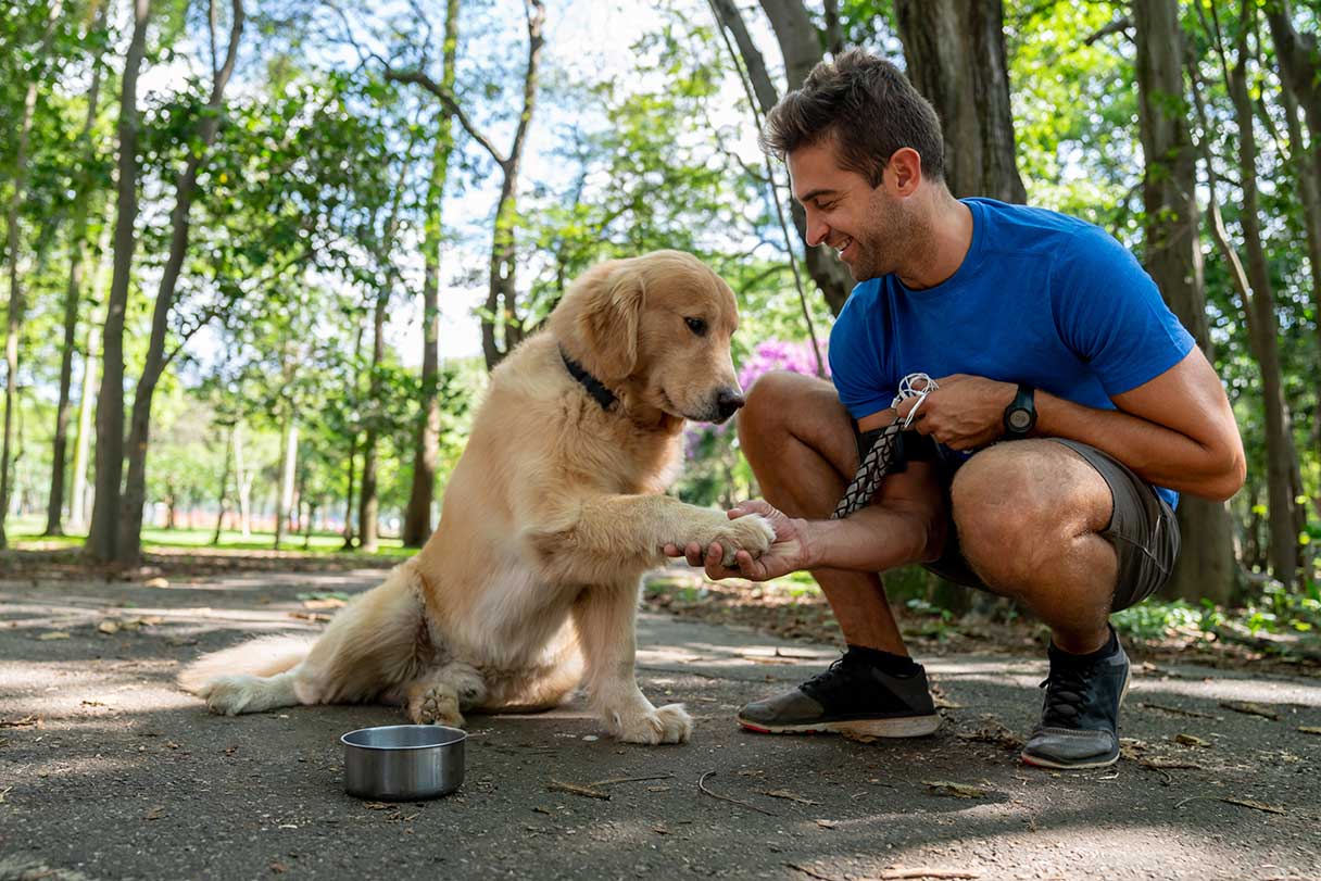 11 Signs Your Pet May Need Physical Therapy