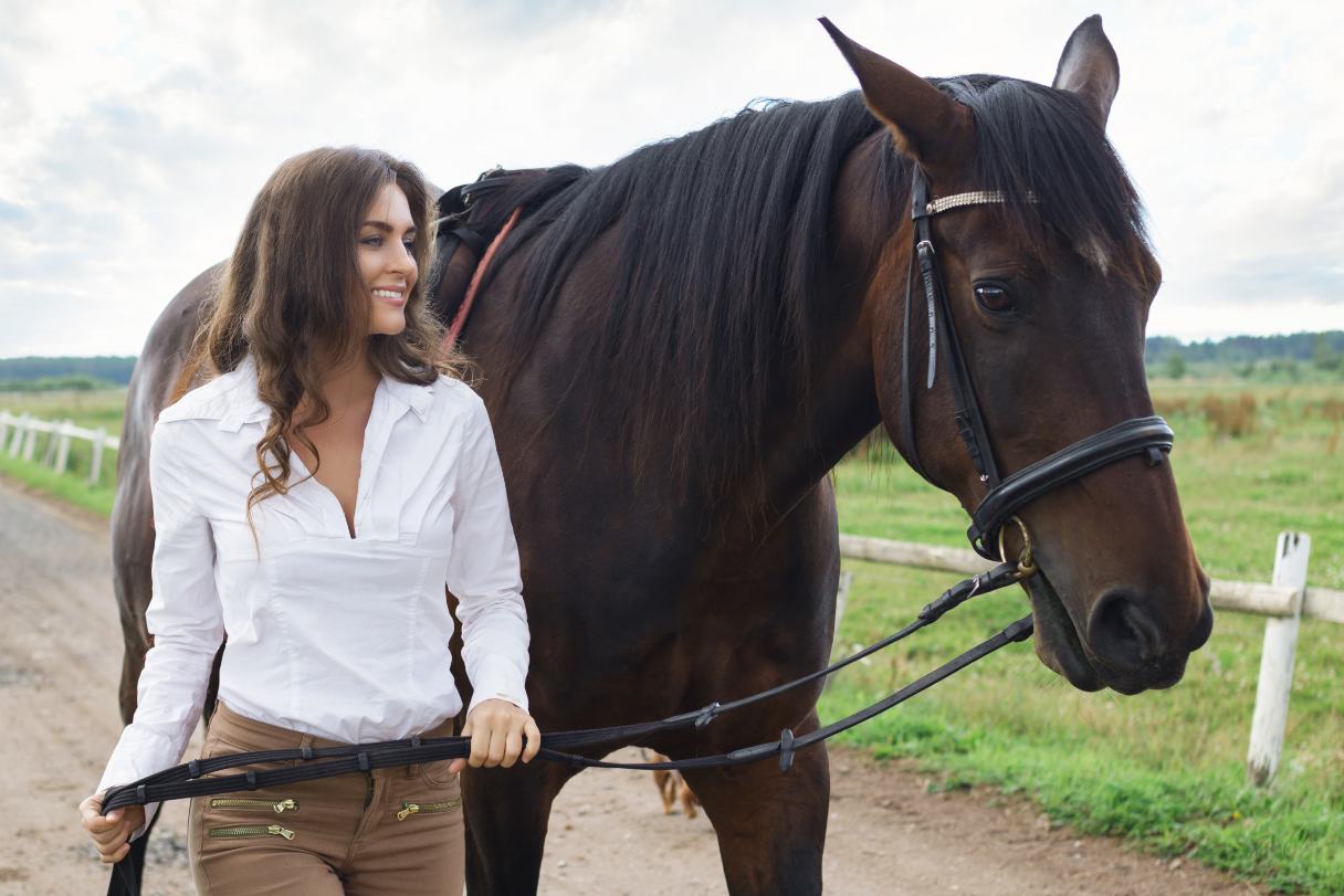 7 Things to Consider Before Buying a Horse