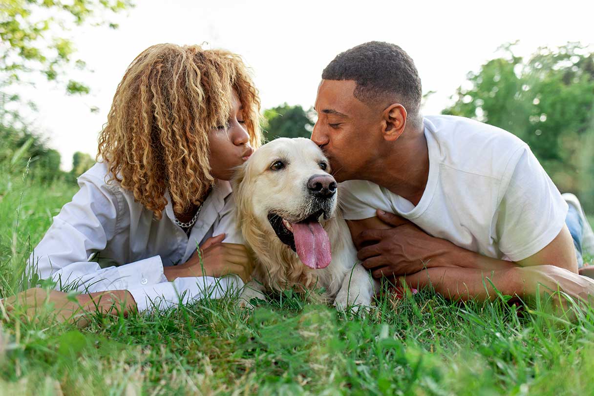 Pregnancy Tests for Dogs: 5 Options to Consider