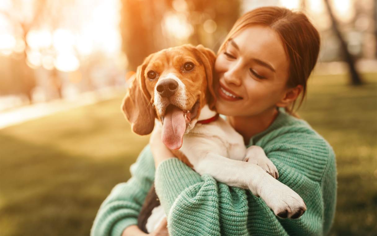 Dog Spay vs. Neuter: Age Guidelines, Benefits and Costs