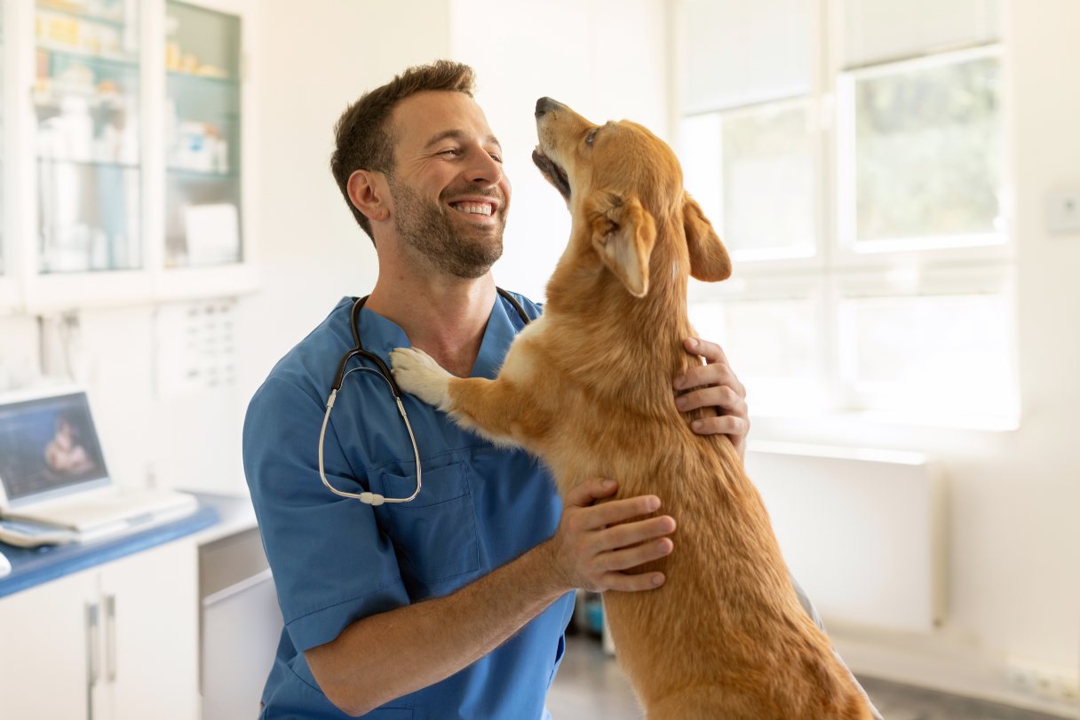Dog Cataract Surgery Cost and Procedure Guide