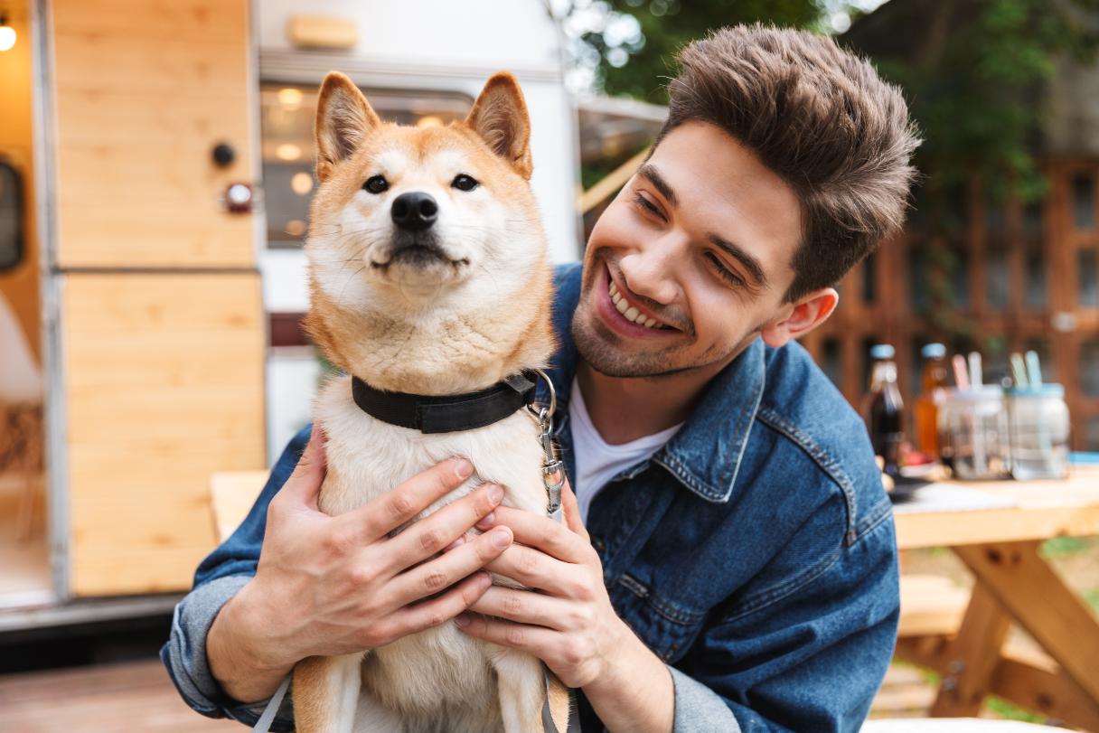 Your Guide to Dog Collars: Comfort, Safety and Fit Comparisons
