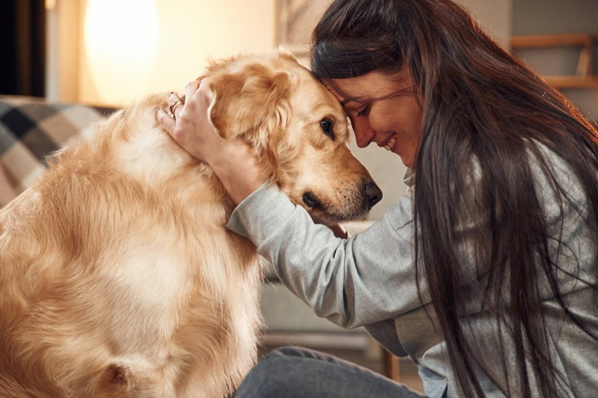 Fear of Fireworks: Calming Strategies for Your Dog