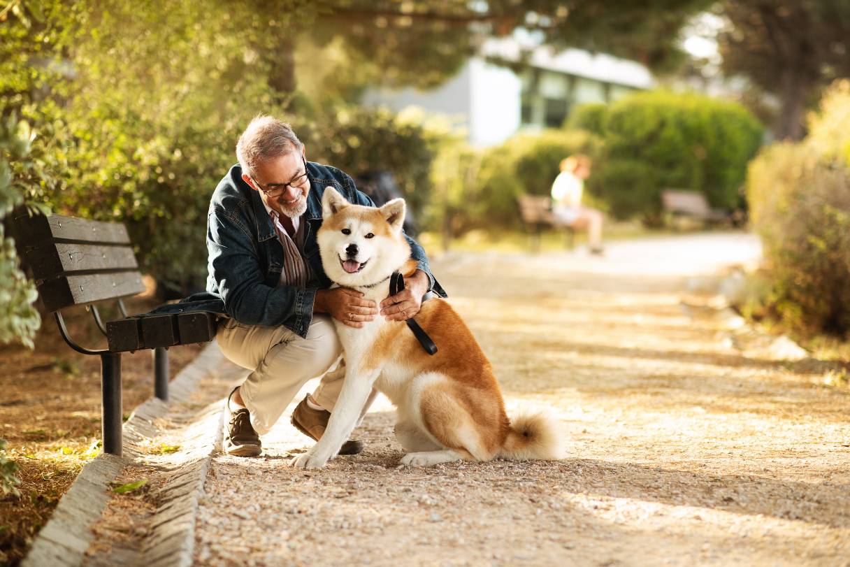 Dog Leg Amputation Cost and Procedure Guide