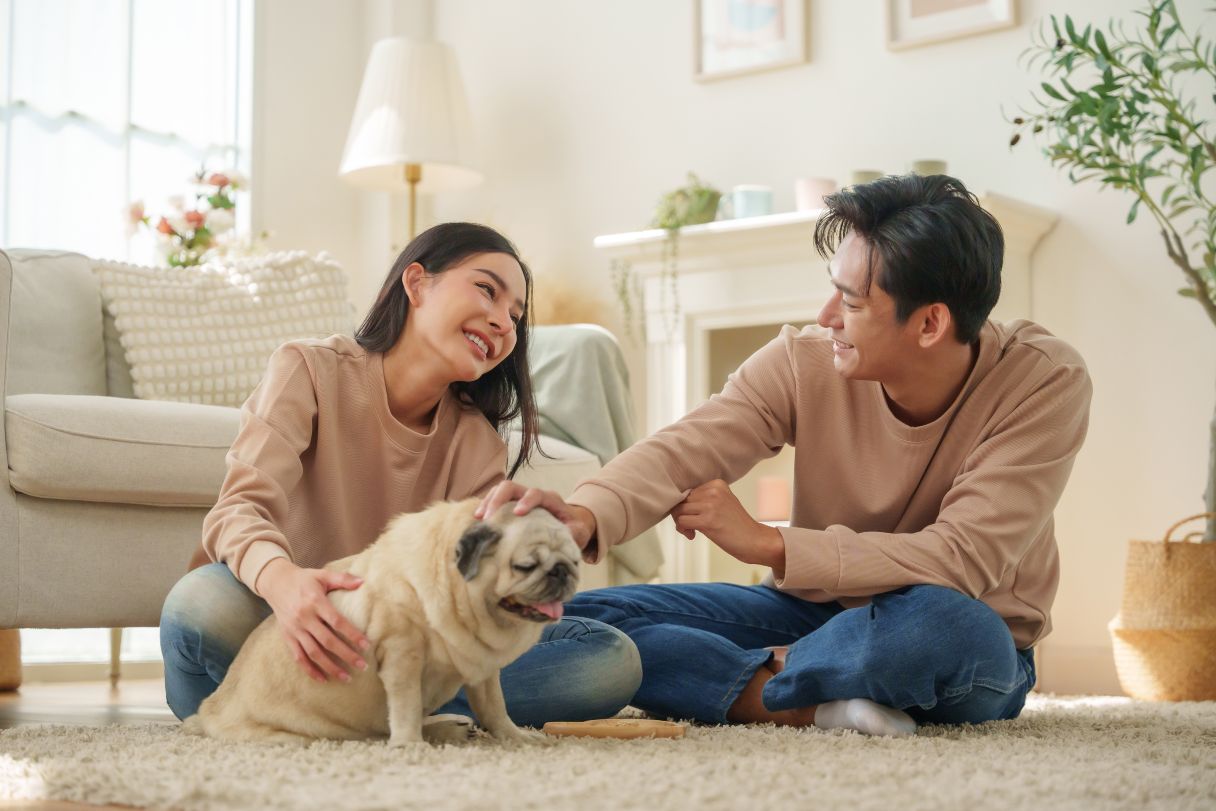 Dog Lipoma Removal Cost and Procedure Guide