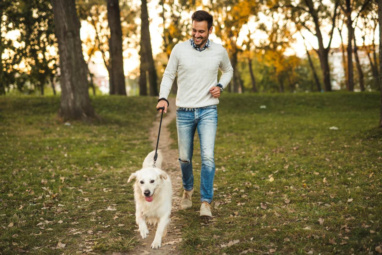 A Dog Owner’s Guide to Lyme Disease: Tips to Protect Your Pup