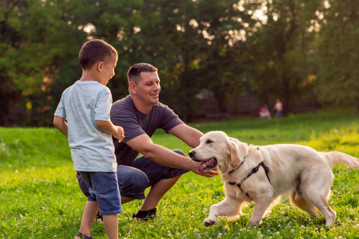 Healthy vs. Unhealthy Dog Poop: How to Spot the Difference