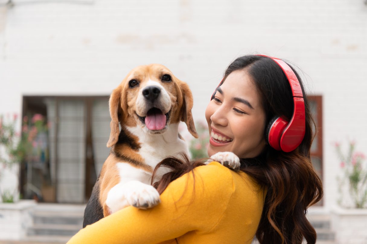 Dog Spay and Neuter Cost and Procedure Guide