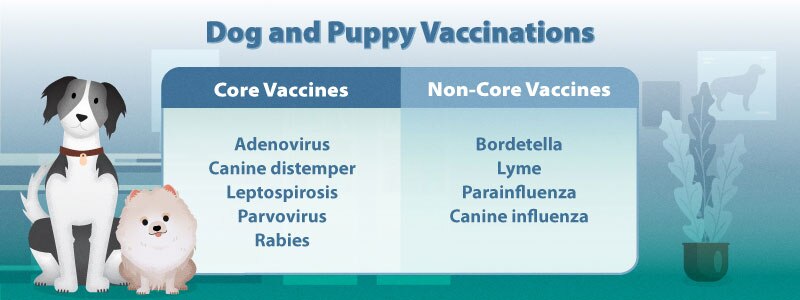 Core vs Non Core Dog Vaccines