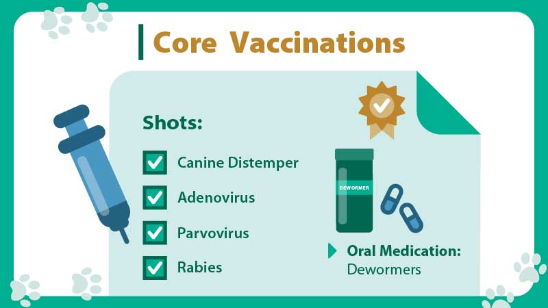 Core vaccinations