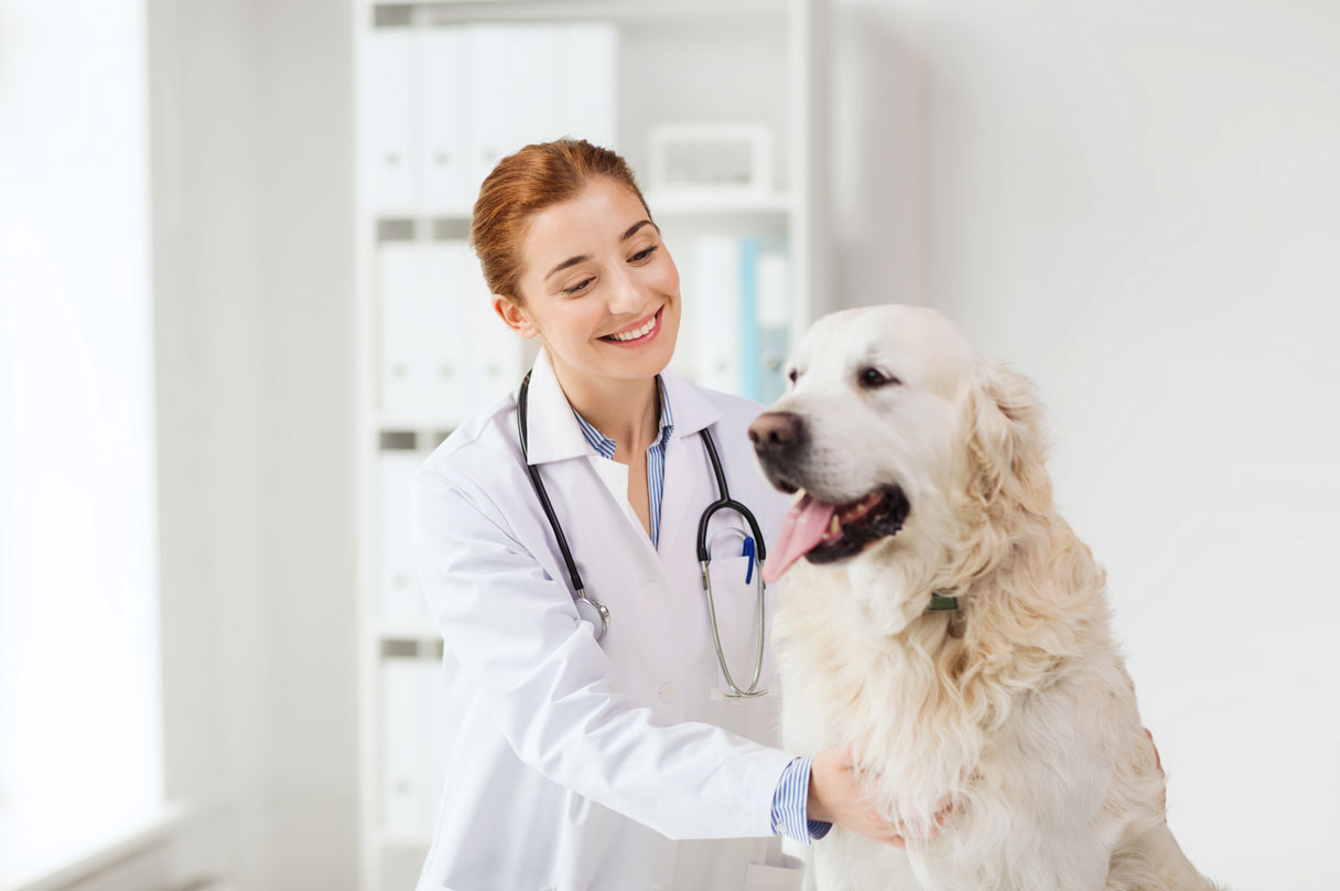 Droopy Dog Eyelids (Ectropion): Causes, Symptoms and Treatment