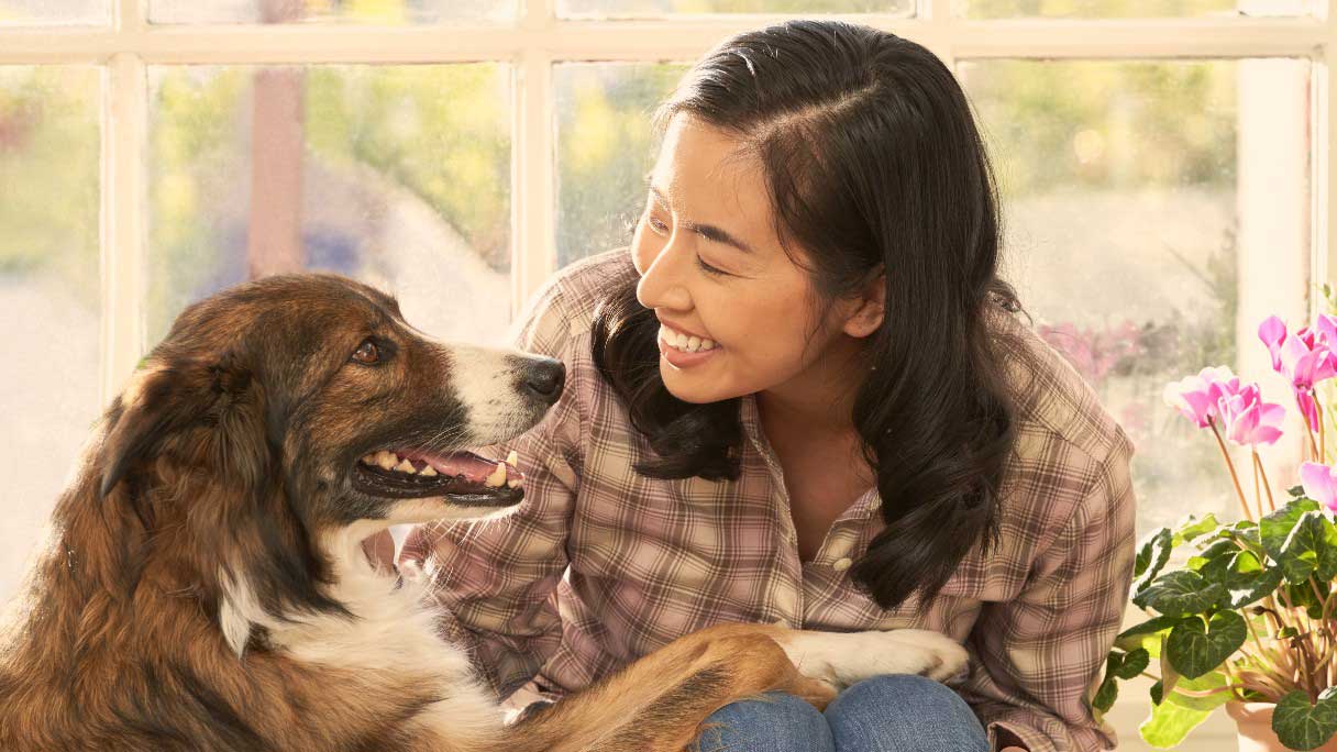 Woman playing with dog