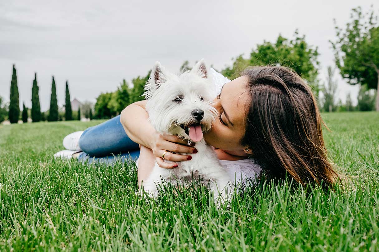 How to Pay for Vet Bills After Hitting the Pet Insurance Annual Limit