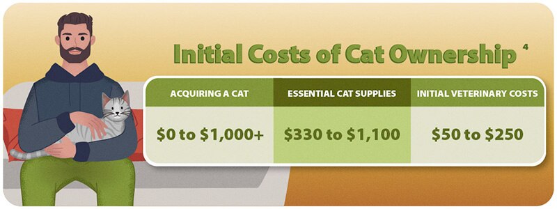 Initial Cat Costs