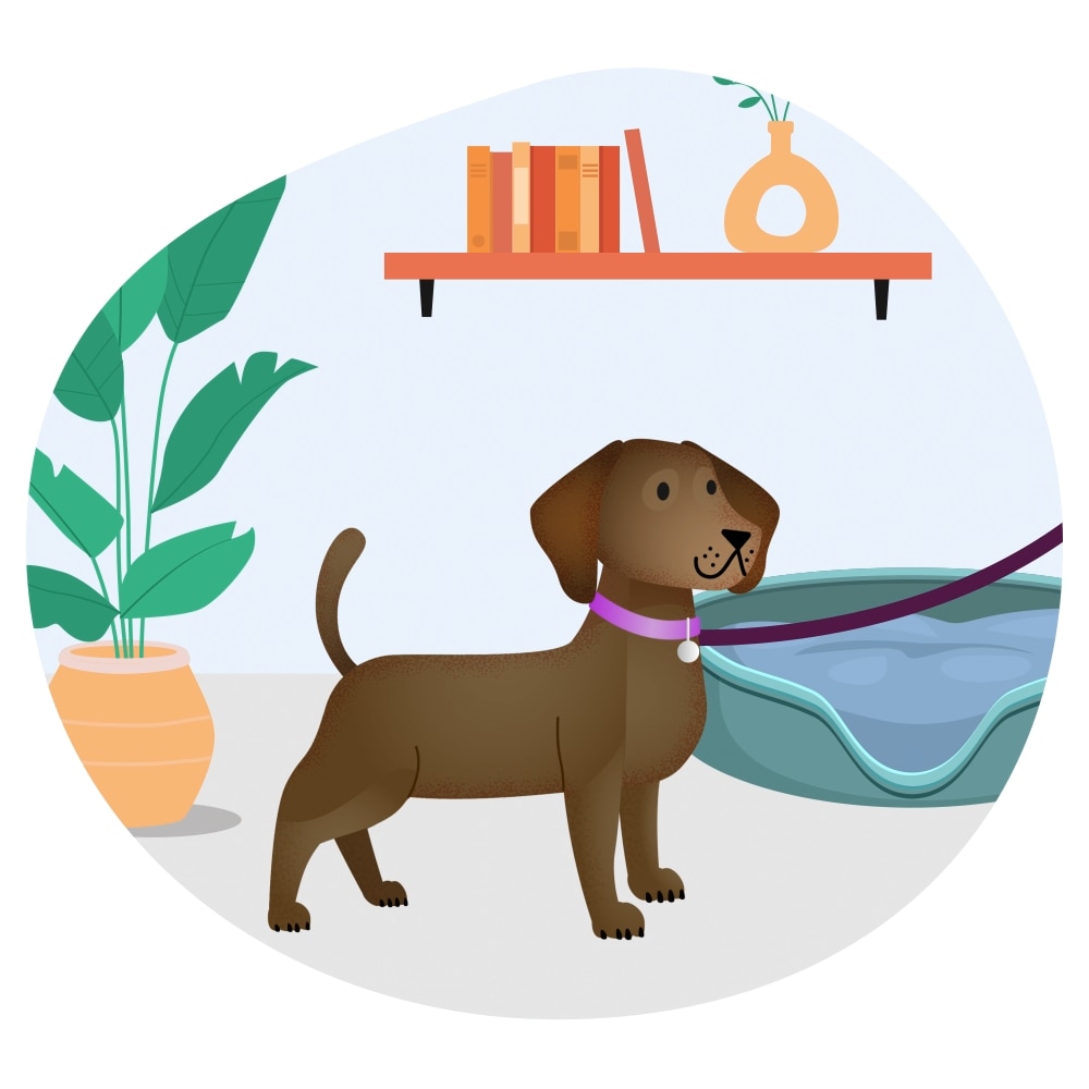 Illustration of a dog on a leash
