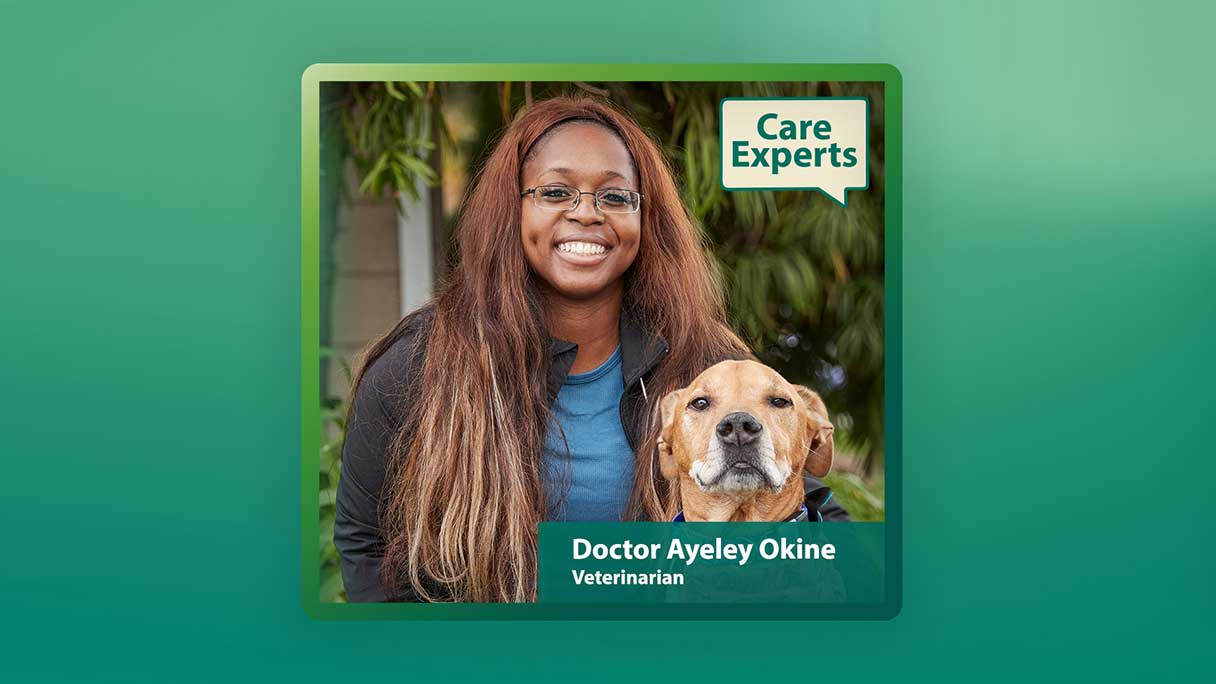 Understanding Kennel Cough in Dogs with Dr. Ayeley Okine