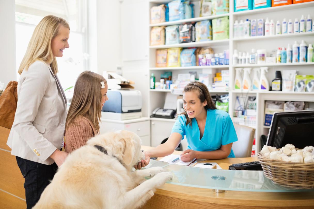 4 Options to Help You Pay for Vet Bills