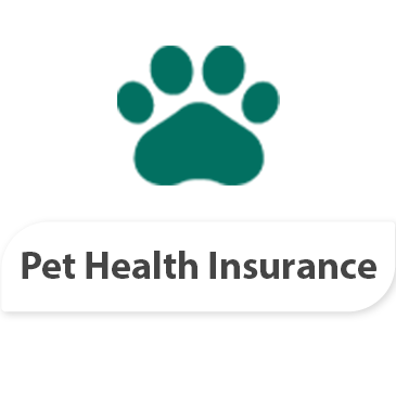 Pet Health Insurance