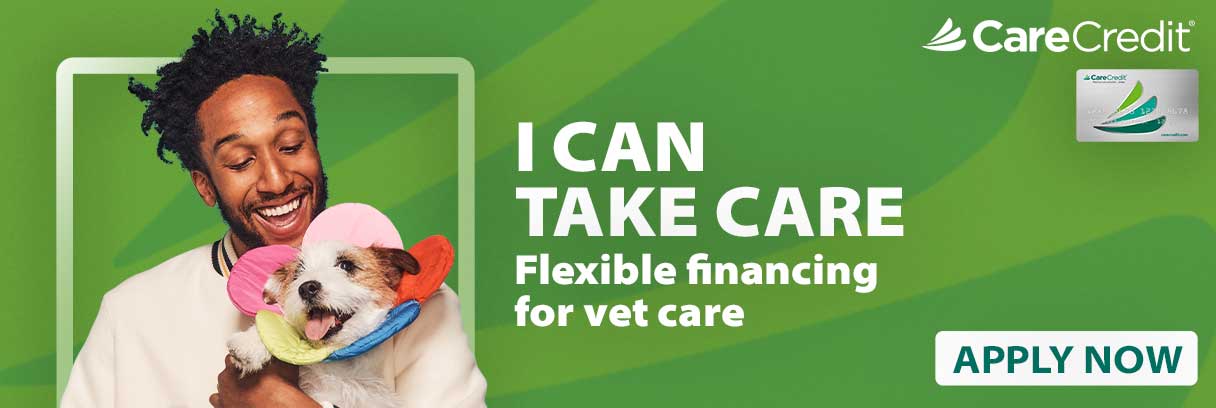 Veterinary Financing