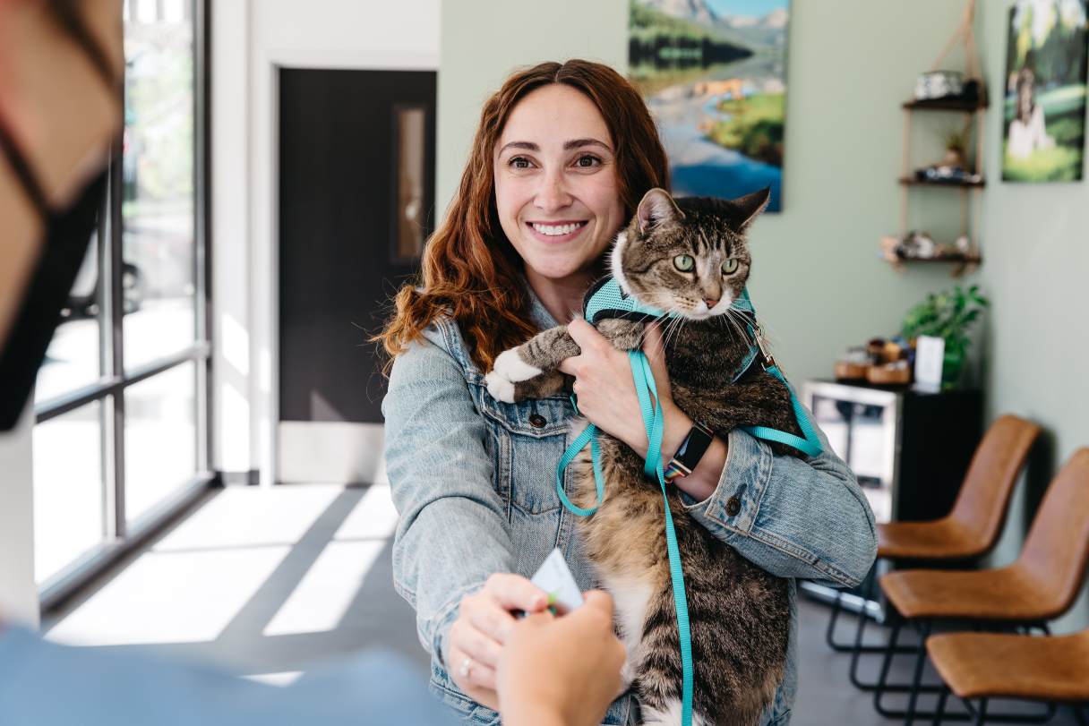 Simplifying Pet Care in 4 Easy Steps  