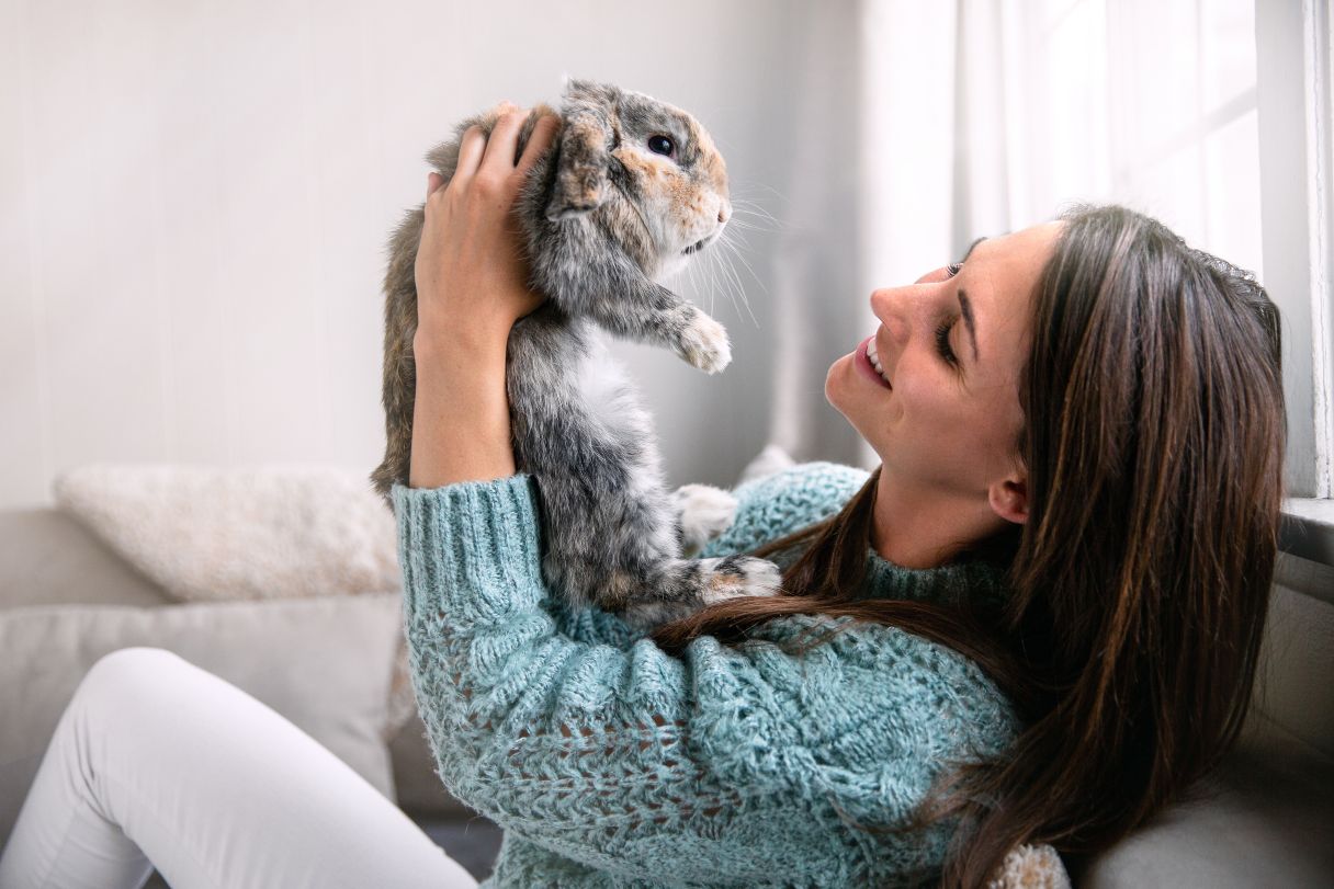 9 Popular Pocket Pets: Key Things to Know Before You Adopt