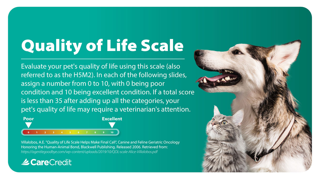 Quality of Life Scale