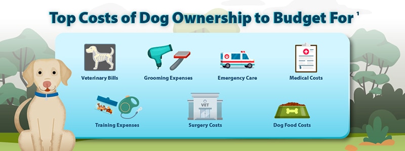 Top Dog Ownership Costs