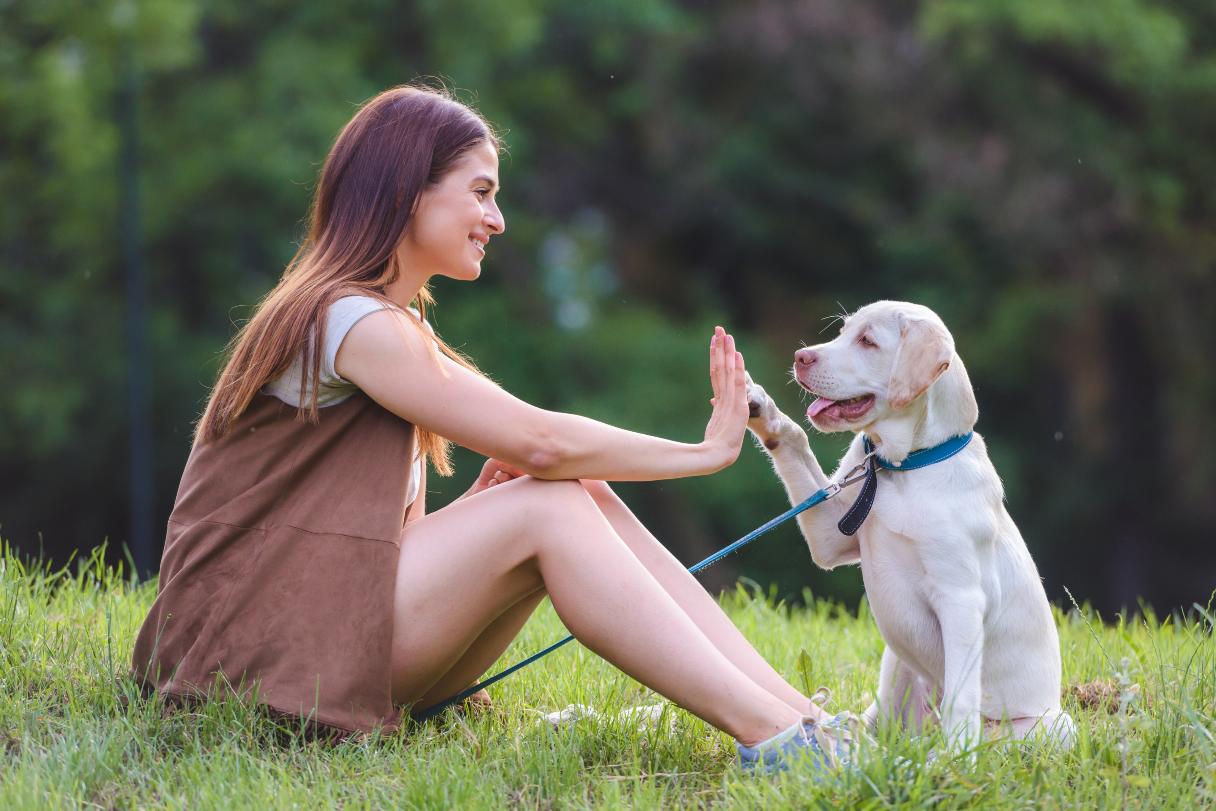 7 Top Dog Care Costs for Pet Owners to Budget For