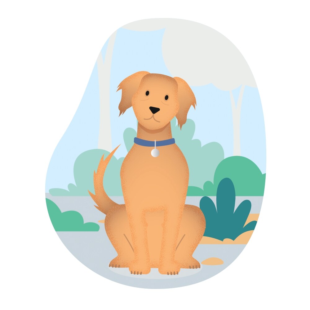 Illustration of dog sitting