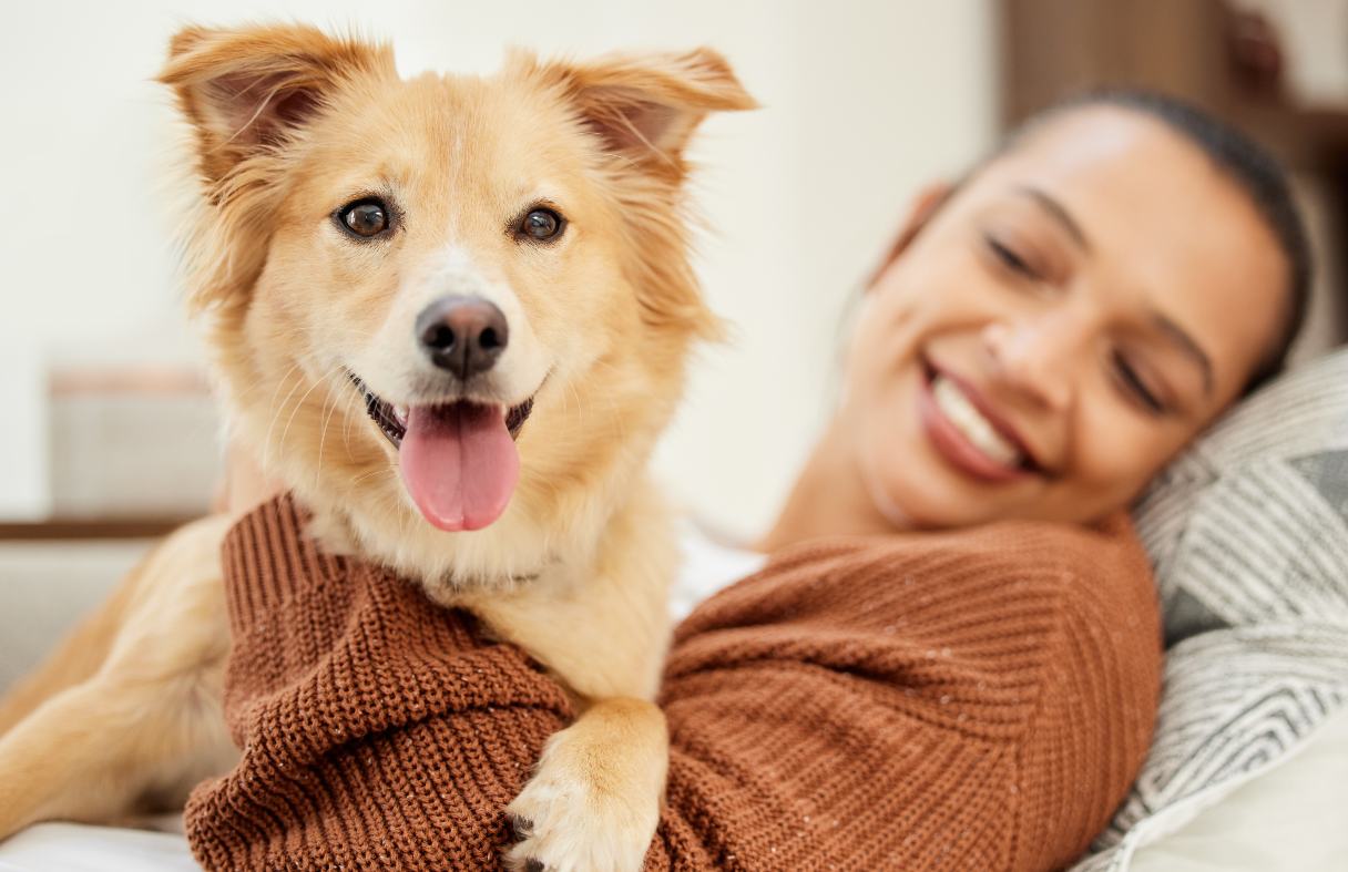 Vaginitis in Dogs: Causes, Symptoms and Treatment Options