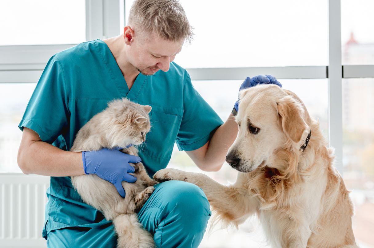 Veterinarian with dog and cat