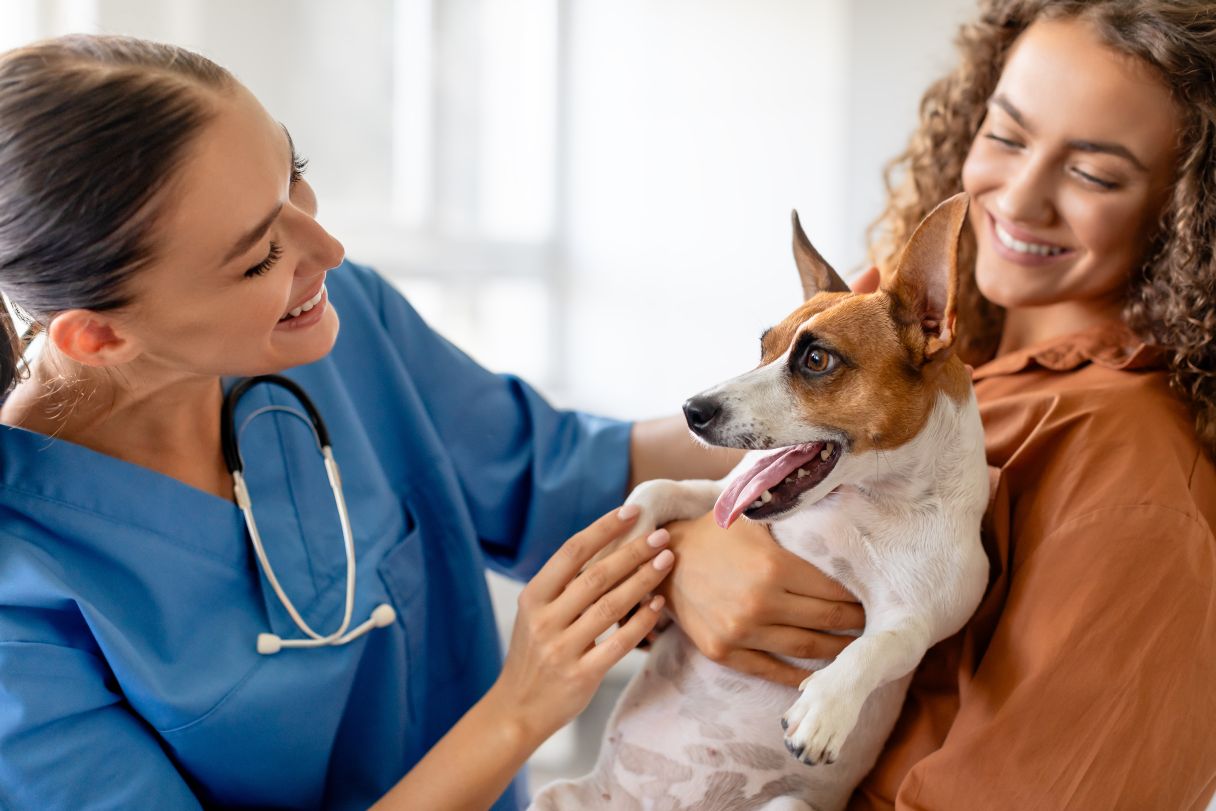 Woman holding dog, veterinarian smiling at dog