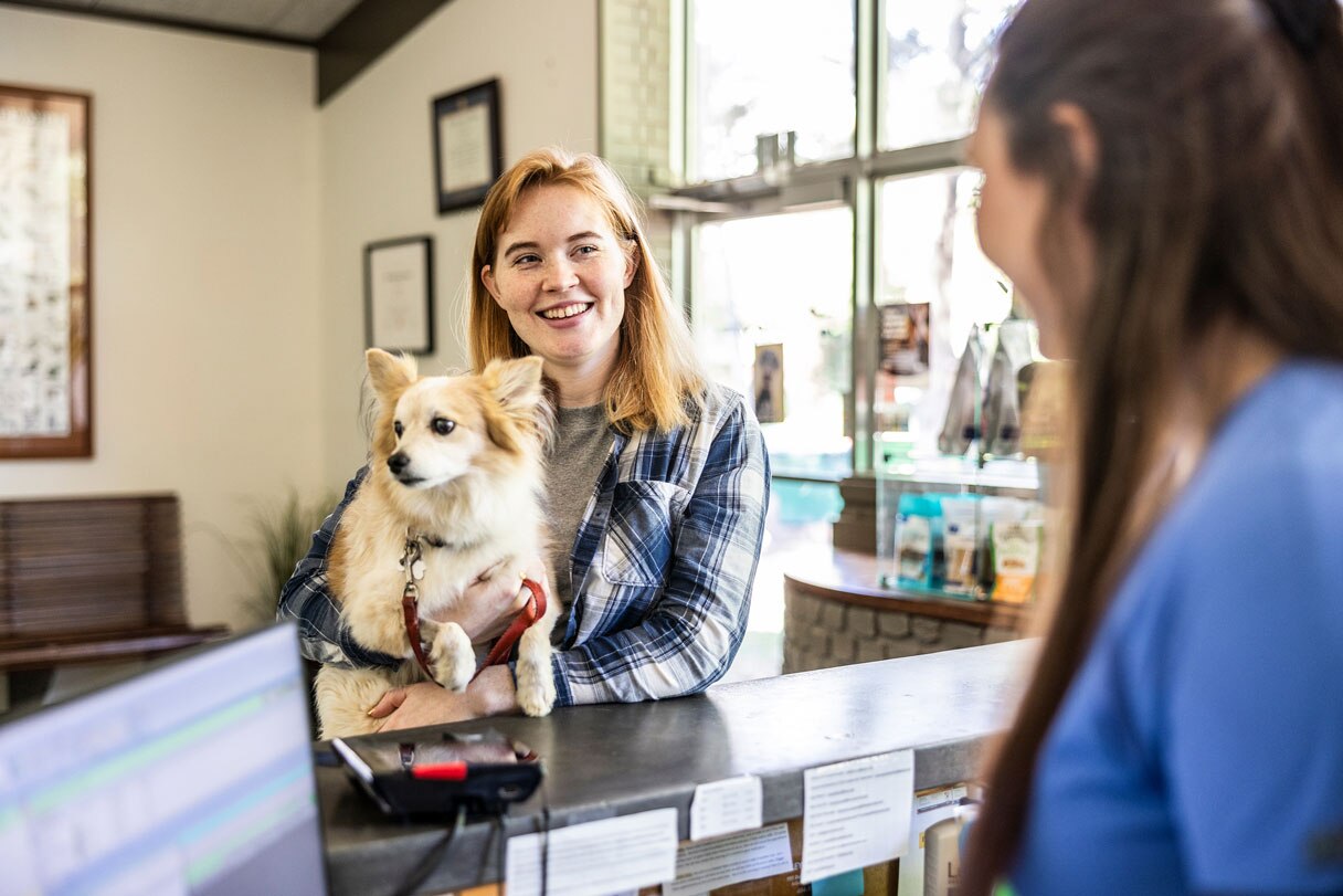 Woman holding dog speaking with veterinary receptionist