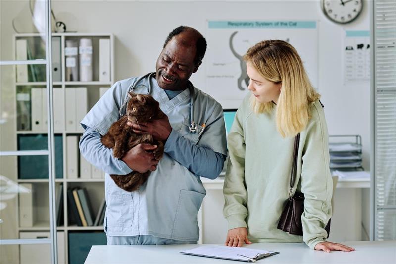 Veterinarian holding cat, woman watching