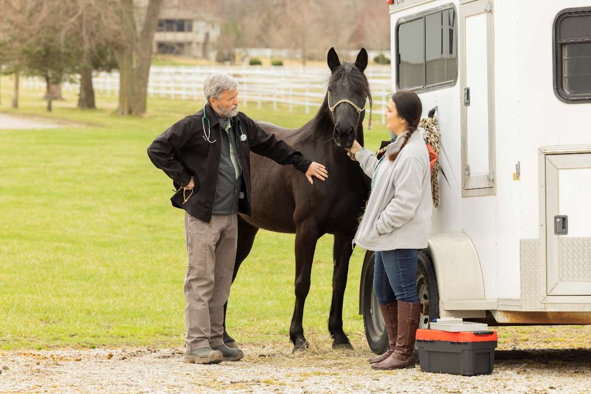 Man and woman with a horse