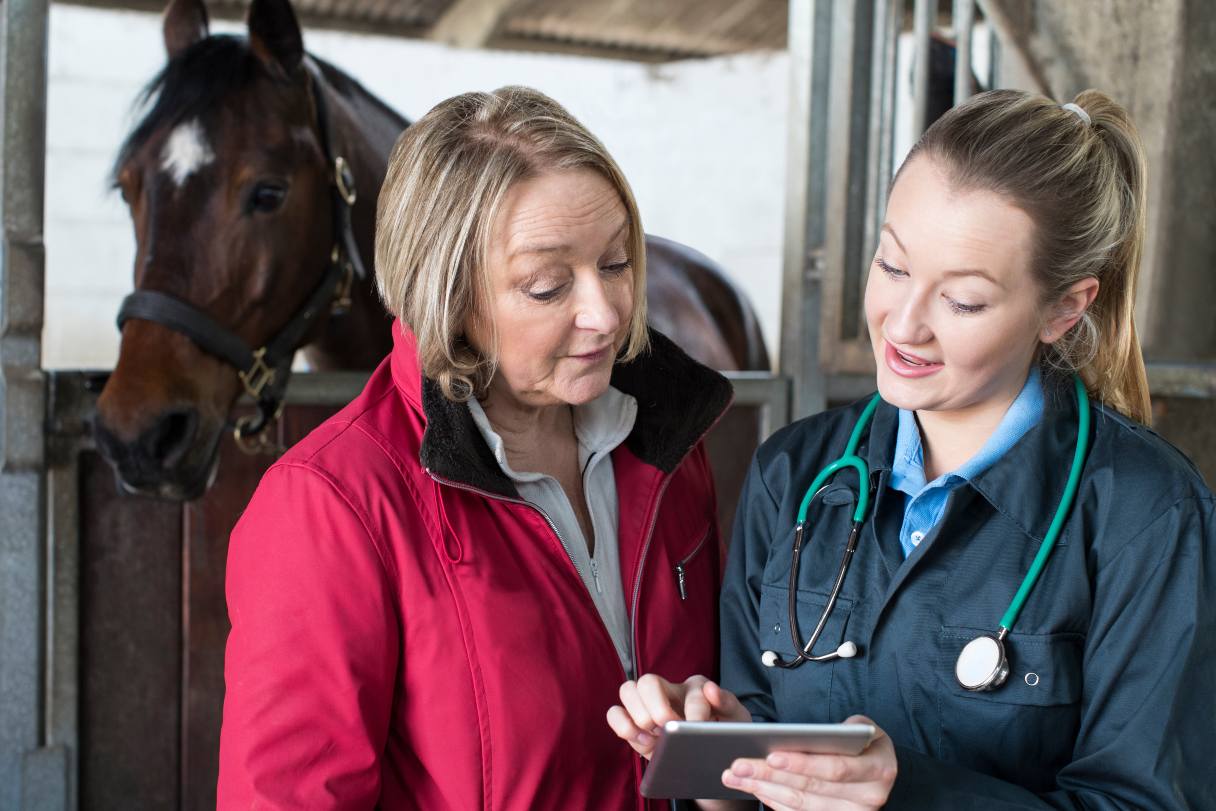 Equine veterinarian speaking to client, both standing in front of horse
