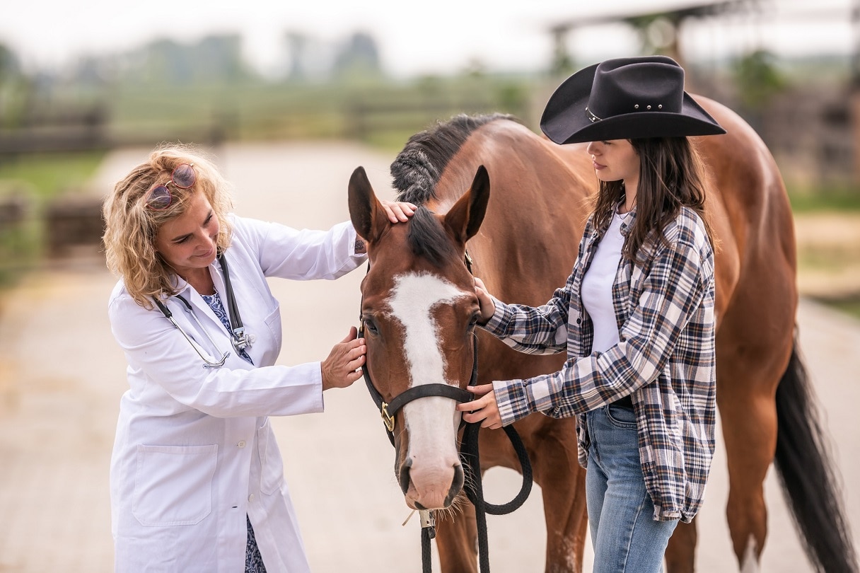 Two women with a horse