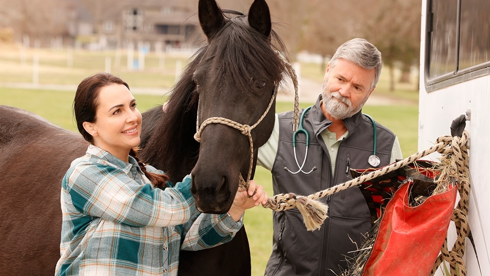 holding the horse by two people