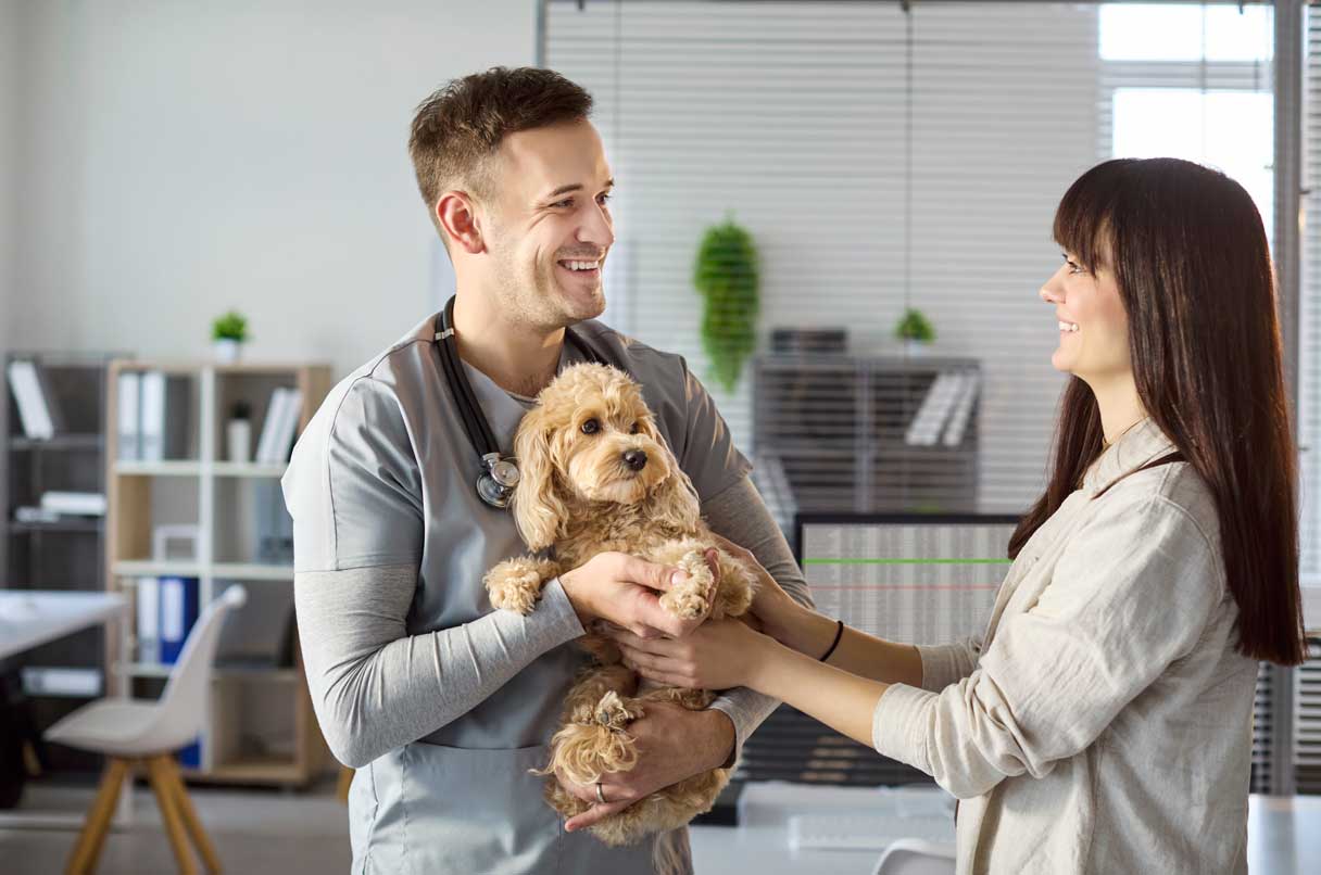 Veterinarian holding dog, speaking with woman
