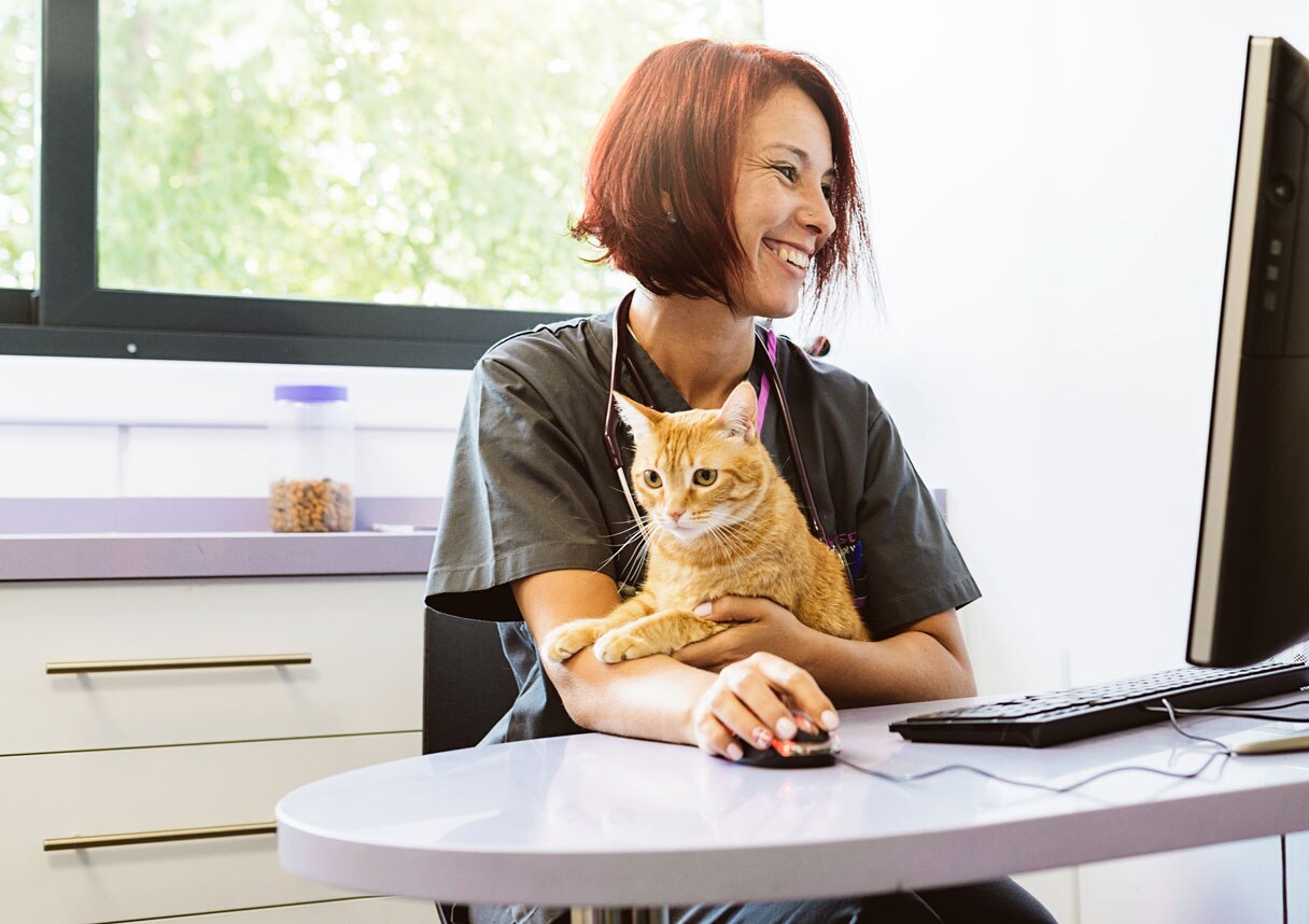 Veterinarian holding orange cat on their lap while they work on computer