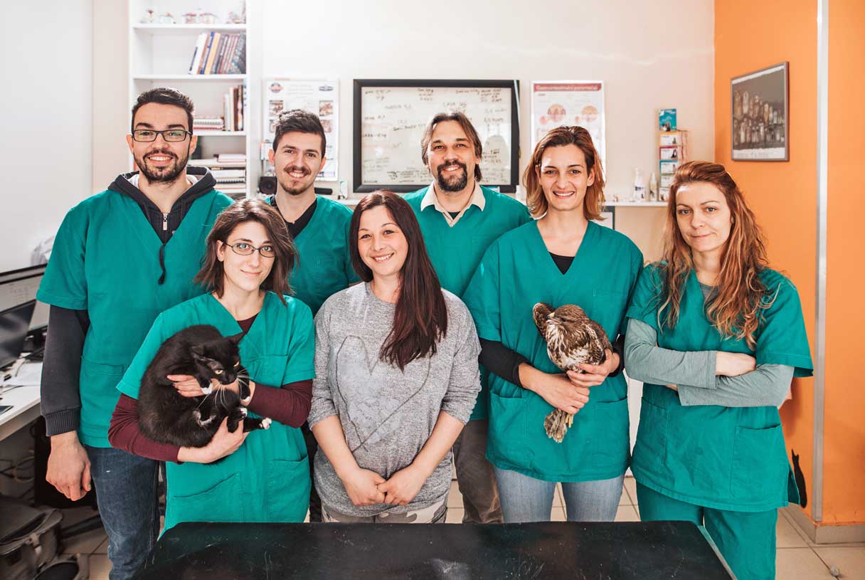 Veterinary Association