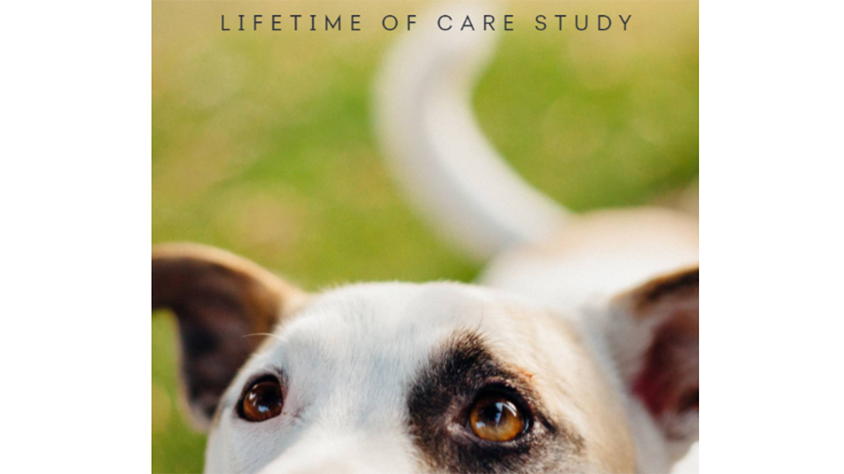 Pet Lifetime of Care Study